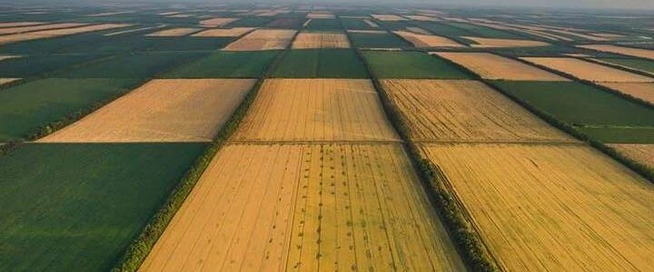 Ціна родючості – скільки коштує найдорожча агроземля на Балканах — результати дослідження